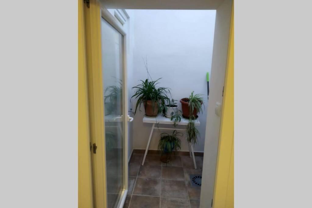비야카리요 Vivienda Rural Mogon-Junto Al Guadalquivir B 빌라 외부 사진