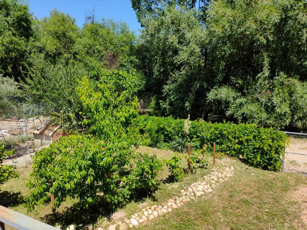 비야카리요 Vivienda Rural Mogon-Junto Al Guadalquivir B 빌라 외부 사진